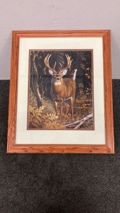 Framed Deer Print