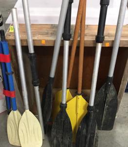Assorted Paddles