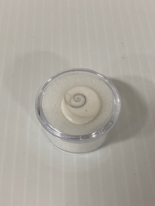 Indian Gomti Chakra 8.3 Ct.