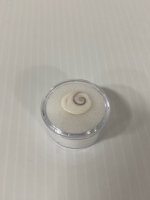 Indian Gomti Chakra 5.6 Ct.