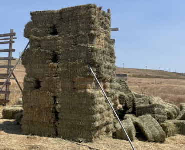 VALLEY EAST FIELDS (176) BALES GRASS HAY- LOCATED SOUTH OF BOISE