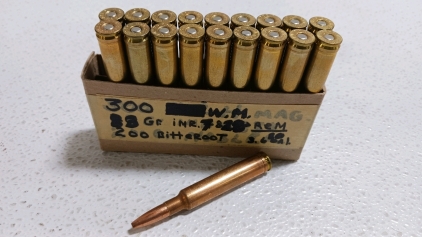 19rds .300 Winchester Magnum Reloads