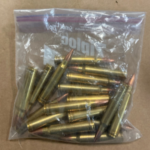 (20) Rounds of .300 Winchester Magnum Hollow Points