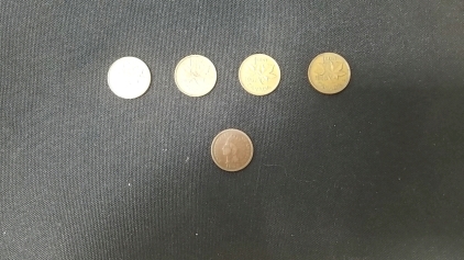 (4) Old Canadian Pennies, w/ 1902 Indian US Penny