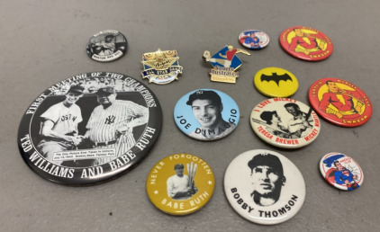 (13) Vintage Collectible Pins