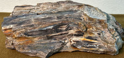 Opalized Petrified Wood