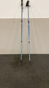 SwissGear Hiking Poles