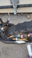 16" Mongoose Mutant (Black) Bike - 5