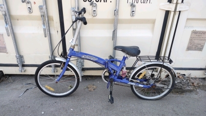 20" Citizen (Blue) Bike