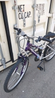 Road Master Mt. Sport SX (Purple/Gray) Bike - 2