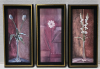 Floral Paintings