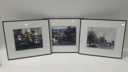 (3) Picture Frames/Scenic Pictures.