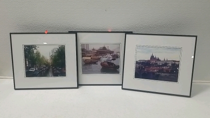 (3) Picture Frames/Scenic Pictures.