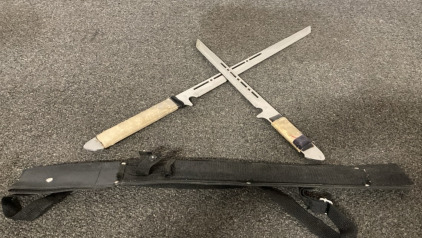 Dual Wield Swords