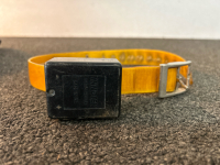 Dog Training Collars & Transmitter - 5