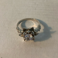 Rings (6), Silver Rope Necklace, & King Necklace- All Unverified!! - 6