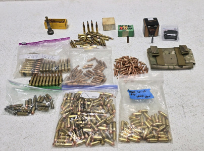 Assorted Ammunition & Grip Extenders
