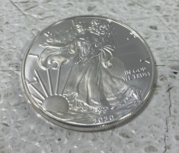 (1) 2020 American Eagle 1oz Silver Coin