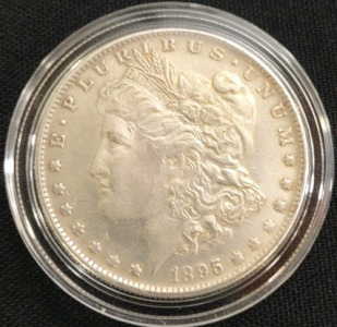 1895 Morgan Dollar Coin ( UNVERIFIED )