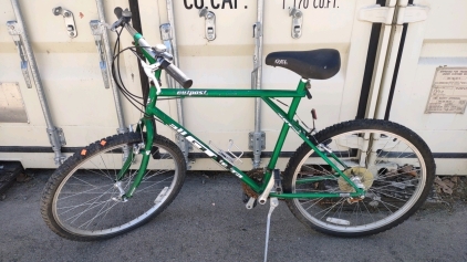 26" All GT Terra Outpost (Green) Bike