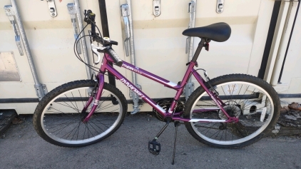 24" Dynacraft Northern Ridge (Purple) Bike