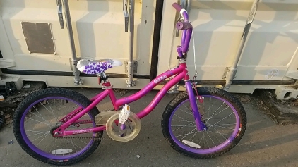 20" Dynacraft Bike (Pink/Purple)