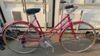 28" Schwinn Bike (Red)