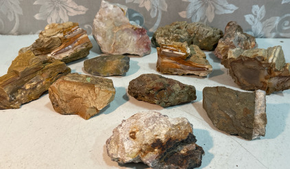 Variety Of Opalized Petrified Wood, Chert, Multicolored Quartz & More!