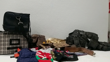 Assorted Tool Belts, Doggy Clothes, Carry Bag, Cloth Shelf