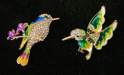 (2) Beautiful Bird Pins