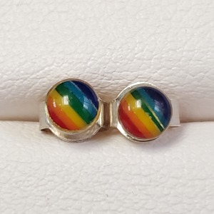 Silver Rainbow Earrings