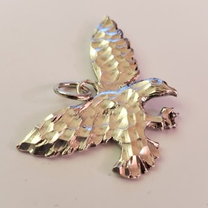 $100 Silver Pendant