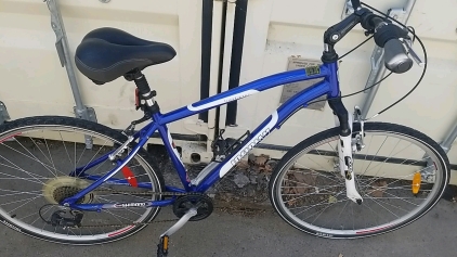 28" Infinity Blue Bike (700 x 38c)