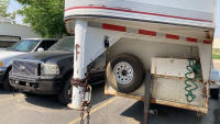 1995 AMERICAN HORSEMAN HORSE TRAILER - 11