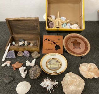 Variety of Souvenirs. Please Inspect.