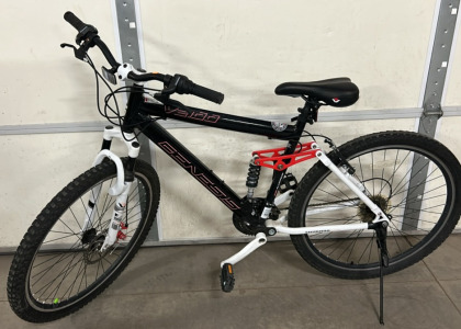 Red And White Bike