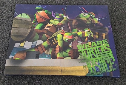 Kids TMNT Light up painting