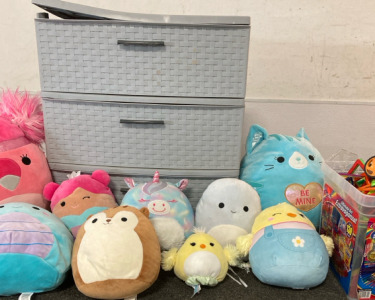 Squishmallows, Magnet Blocks, & Large Drawers