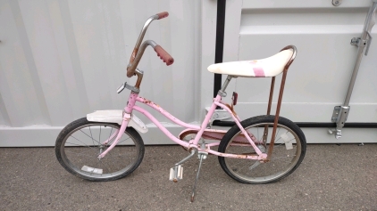 20" Murray (Pink) Bike
