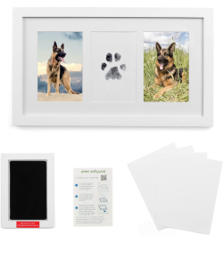 (3) Green Pollywog | Paw Print Frame Kit | Paw/Nose Print Picture Frame | Dog Frame Gifts | No Mess Ink Pad for Pets | Pet Memorial Picture Frame | Pawprint Frame | Cat Paw Print Kit (1)Ling's Moment 2PCS Artificial Floral Swags Centerpieces Faux Flower R