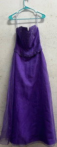 Beautiful Purple Sparkly Dress