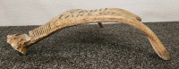 Moose Antler "My Card Take One" Desk Stand - 4