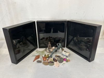 (3) Shadow Boxes And Ocean Theme Home Decorations (Shells, Shark Teeth, Polished Stones, Glass Bottle and More)