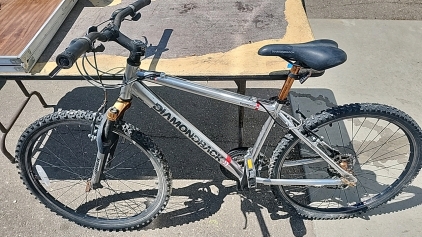 21-Speed Mountain Bike, Diamondback