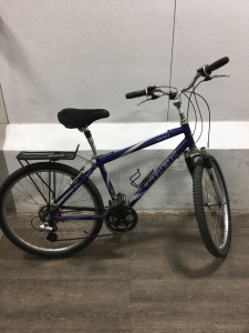 Trek Navigator 200