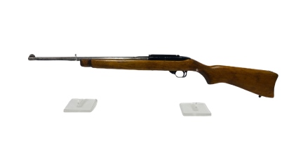 Ruger 10/22, .22LR Semi Auto Pistol