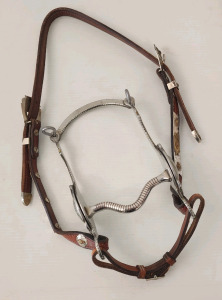 Silver Colored Bridle And Bit