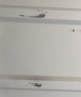 40&rsquo;x114&rdquo;x8&rsquo; Shipping Container - 14