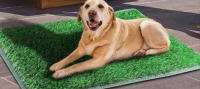 Pet Grass Pad, And Saran Wrap Rolls - 2