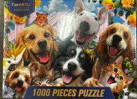 Electric Piano, And Dog Puzzle - 2